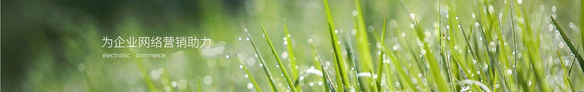 Ĵչشչ޹˾